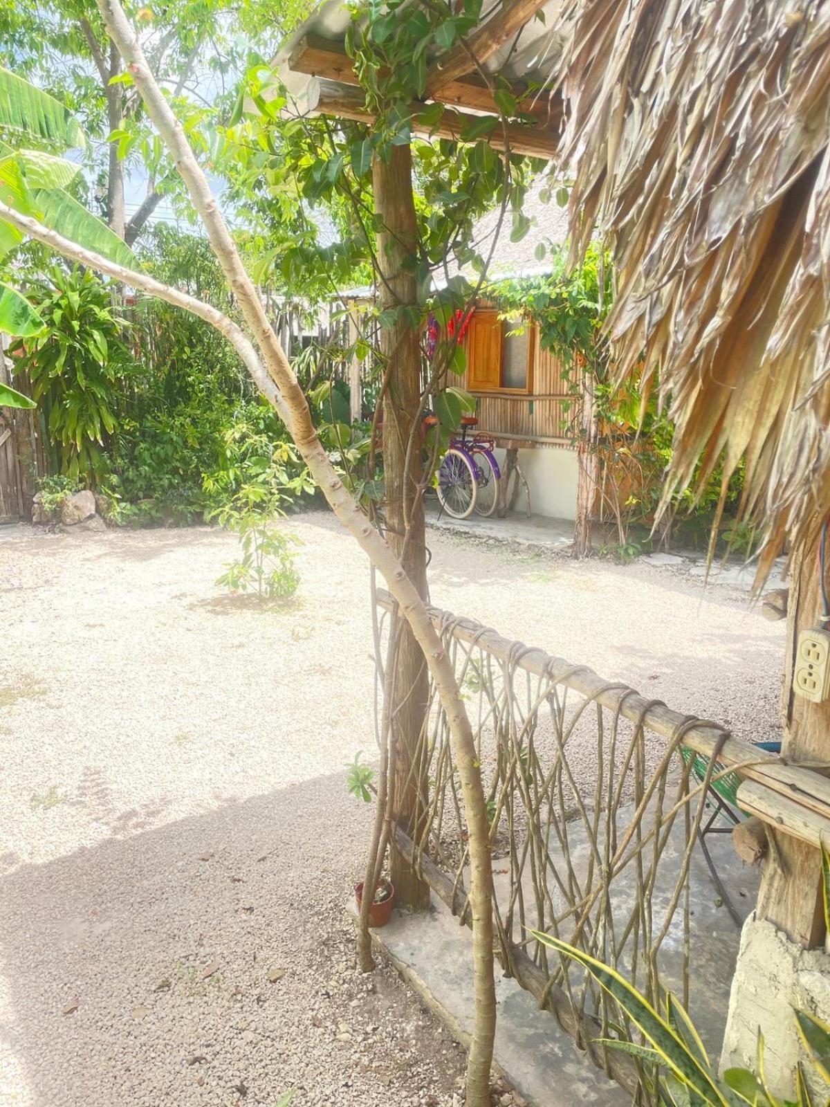 Cabañas Alma Verde Bacalar Exterior foto